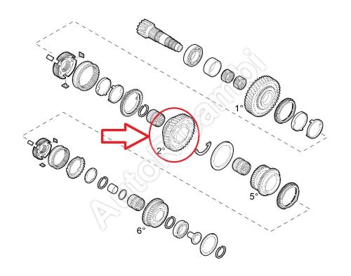 Ozubené kolo Fiat Ducato od 2014 2,0/2,2/2,3D pro 2. stupeň, 19/46 zubů