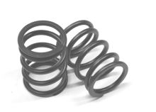 Pružina ventilu Iveco Daily, Fiat Ducato F1A 2,3/F1C 3,0